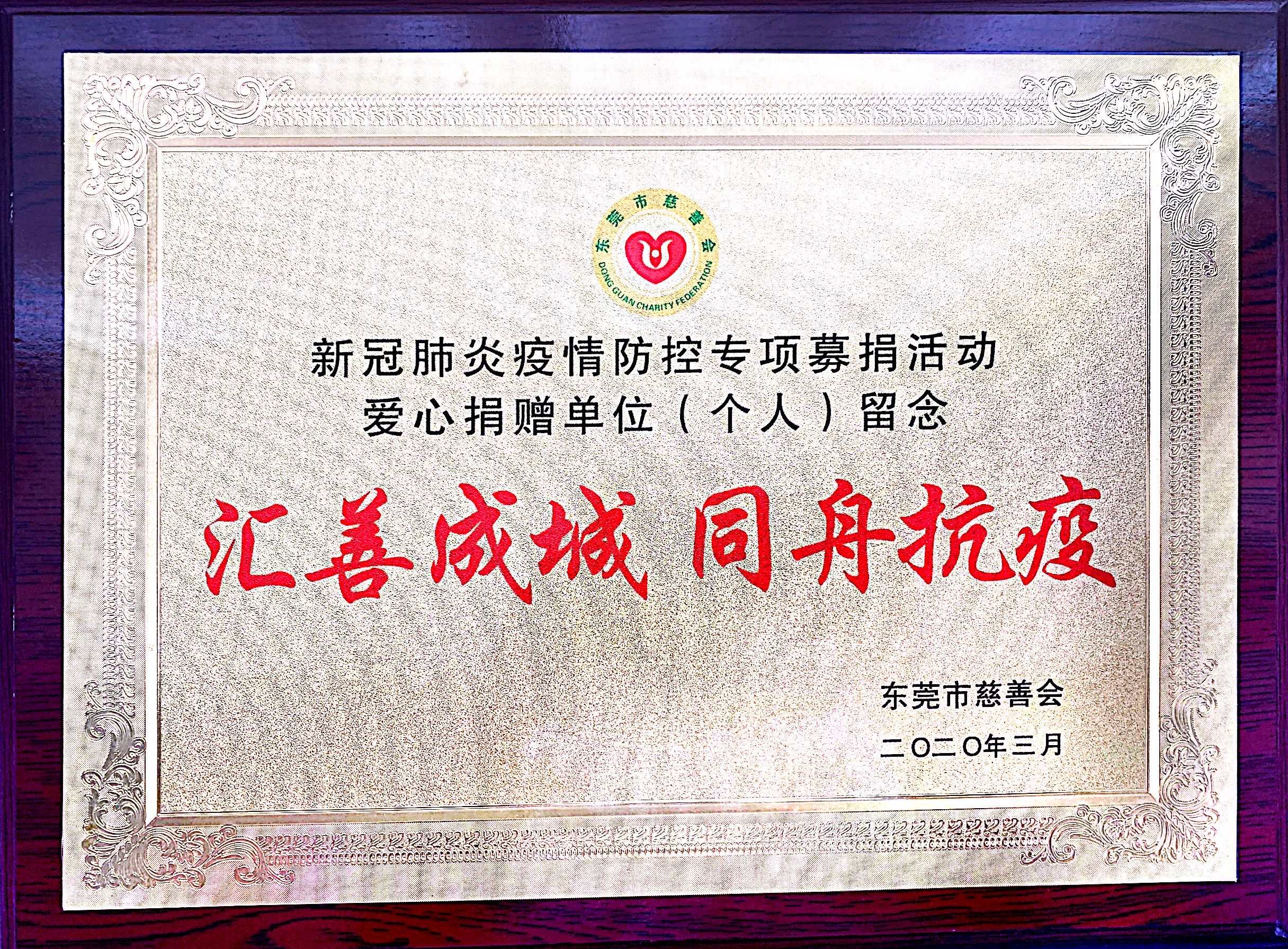 匯善成城，同舟抗疫