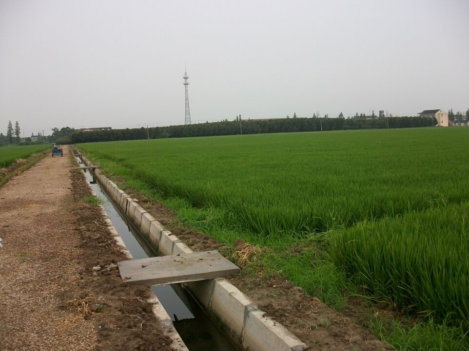 （2014）陽春市陂面鎮(zhèn)2013年第二批高標(biāo)準(zhǔn)基本農(nóng)田建設(shè)項目
